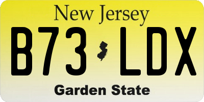 NJ license plate B73LDX
