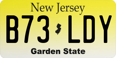 NJ license plate B73LDY