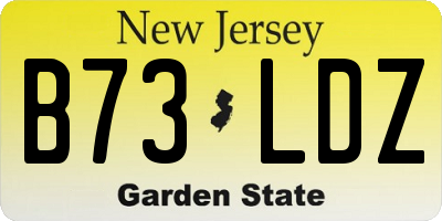 NJ license plate B73LDZ