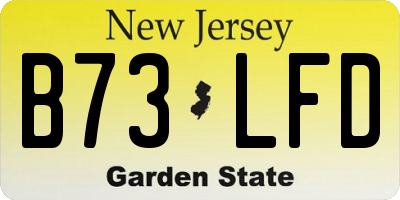 NJ license plate B73LFD