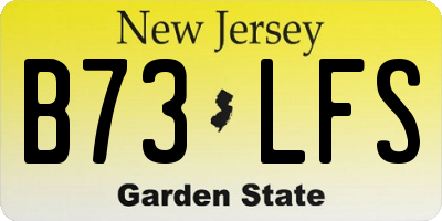NJ license plate B73LFS