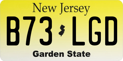NJ license plate B73LGD