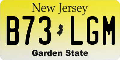 NJ license plate B73LGM