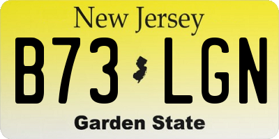 NJ license plate B73LGN
