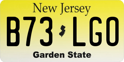 NJ license plate B73LGO