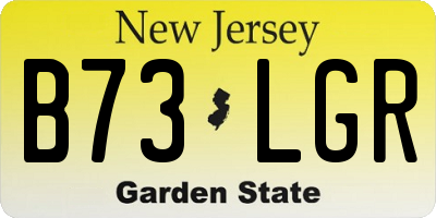 NJ license plate B73LGR
