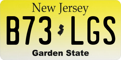 NJ license plate B73LGS