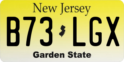 NJ license plate B73LGX