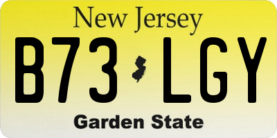 NJ license plate B73LGY