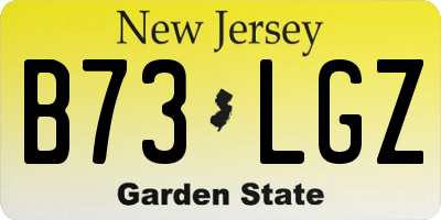 NJ license plate B73LGZ
