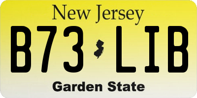 NJ license plate B73LIB