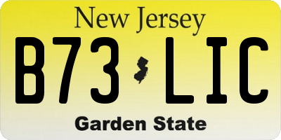 NJ license plate B73LIC
