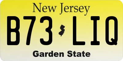NJ license plate B73LIQ