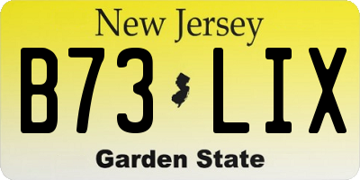 NJ license plate B73LIX