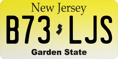 NJ license plate B73LJS