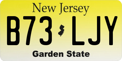 NJ license plate B73LJY