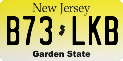 NJ license plate B73LKB