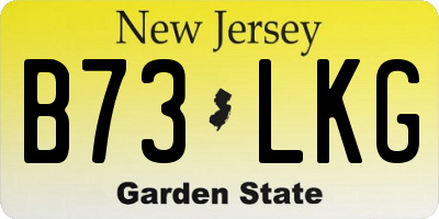 NJ license plate B73LKG