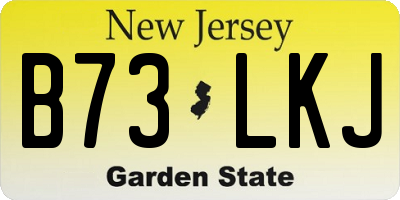 NJ license plate B73LKJ