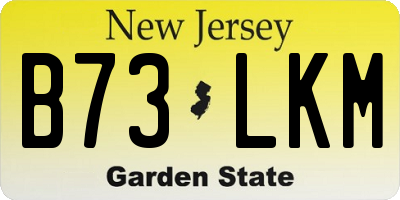 NJ license plate B73LKM