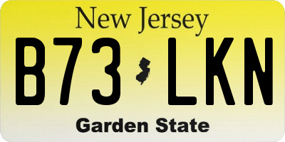 NJ license plate B73LKN
