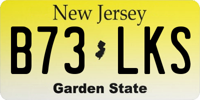NJ license plate B73LKS