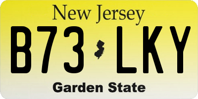 NJ license plate B73LKY