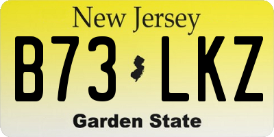NJ license plate B73LKZ