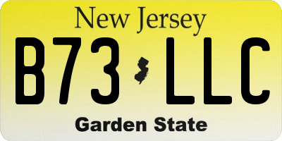 NJ license plate B73LLC