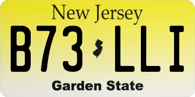NJ license plate B73LLI