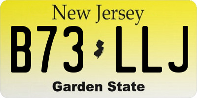 NJ license plate B73LLJ