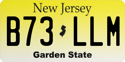 NJ license plate B73LLM