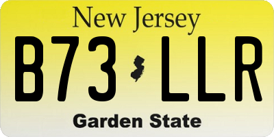 NJ license plate B73LLR