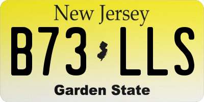 NJ license plate B73LLS