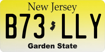 NJ license plate B73LLY