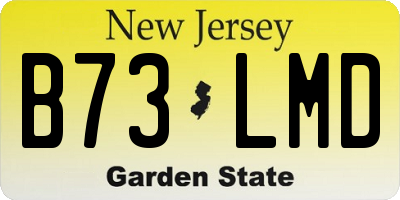 NJ license plate B73LMD