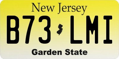 NJ license plate B73LMI
