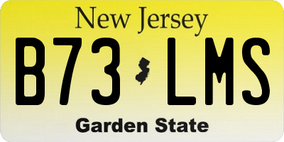 NJ license plate B73LMS