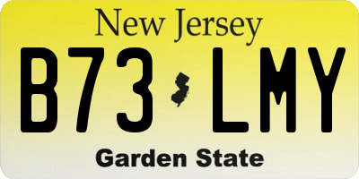 NJ license plate B73LMY