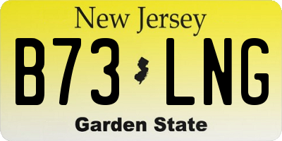 NJ license plate B73LNG