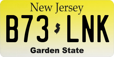 NJ license plate B73LNK