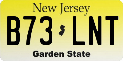NJ license plate B73LNT