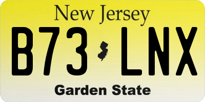 NJ license plate B73LNX