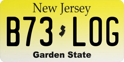 NJ license plate B73LOG
