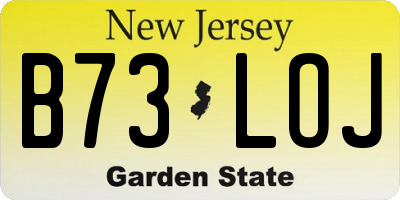 NJ license plate B73LOJ