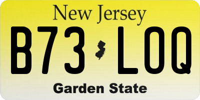 NJ license plate B73LOQ