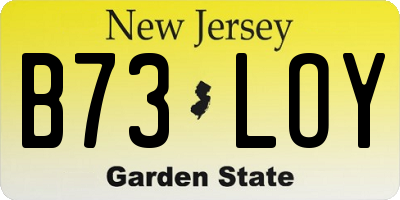 NJ license plate B73LOY