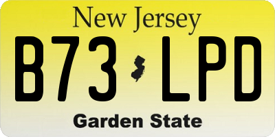 NJ license plate B73LPD