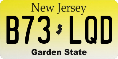 NJ license plate B73LQD