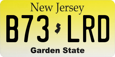 NJ license plate B73LRD